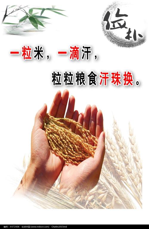 买个假日本圣卡特琳娜大学文凭毕业证